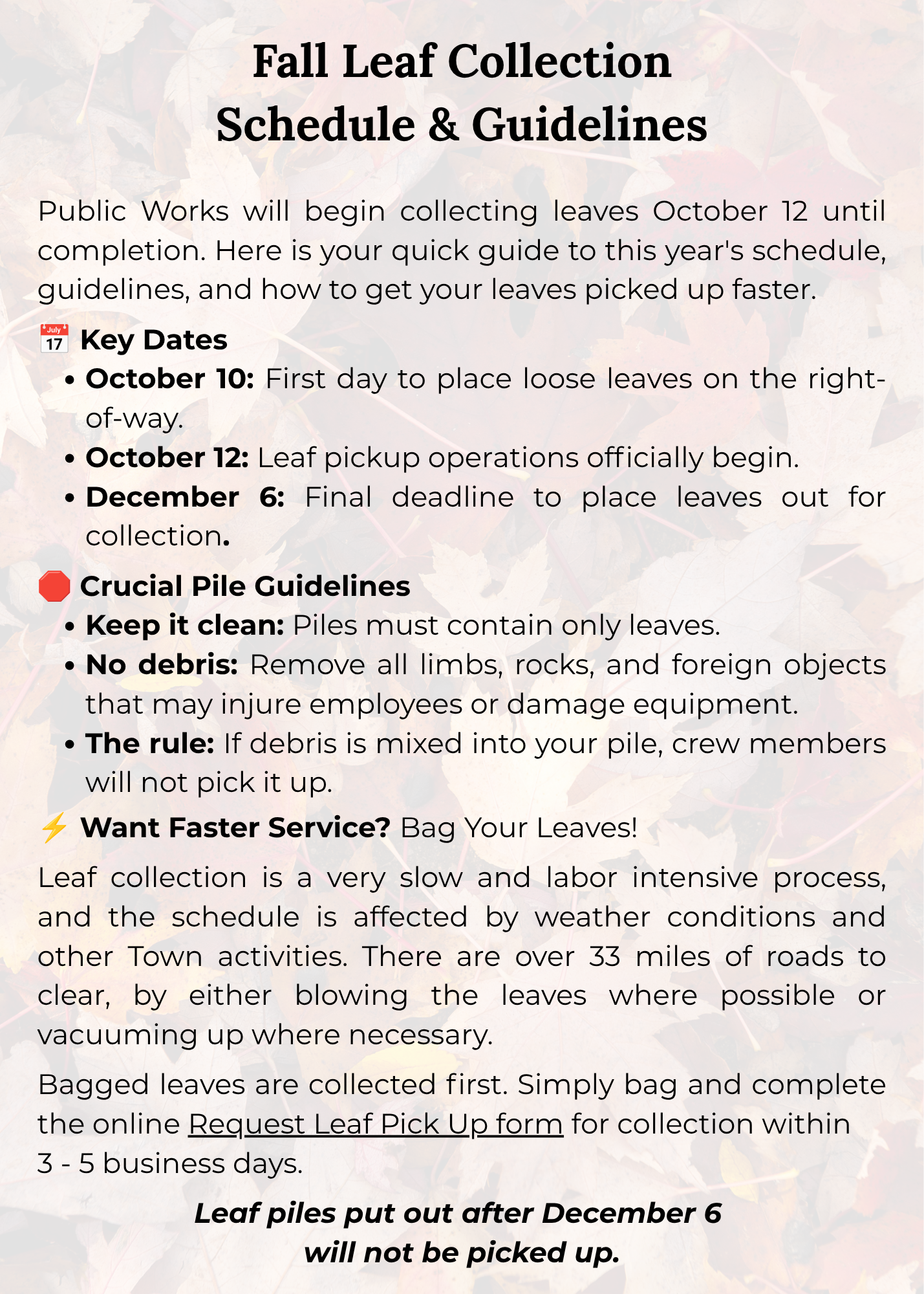 Fall Leaf Collection