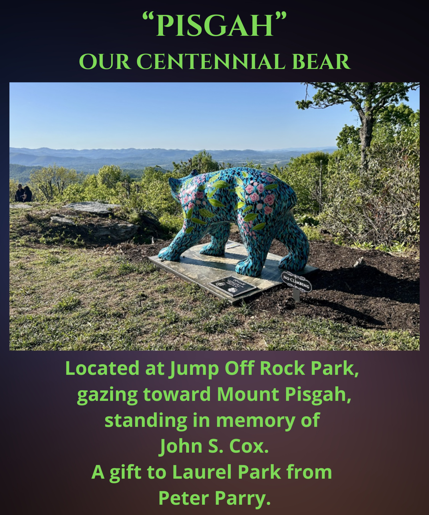 Pisgah Centennial Bear